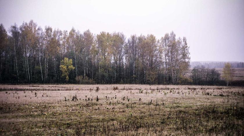 Календарь народных праздников на ноябрь 2020: приметы и суеверия