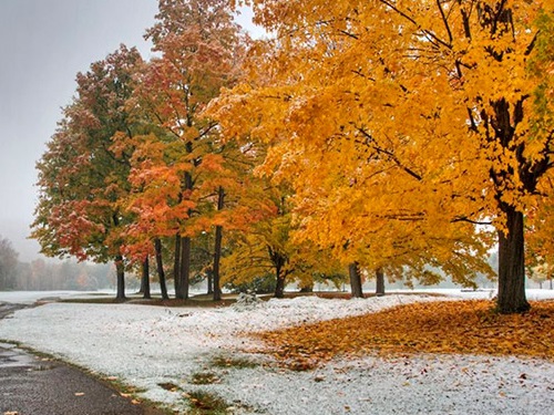 Народные приметы на ноябрь 2020 года