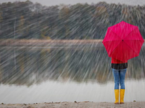 У каждого дня своё предсказание