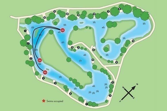 Как Влияет Погода на Карпа?