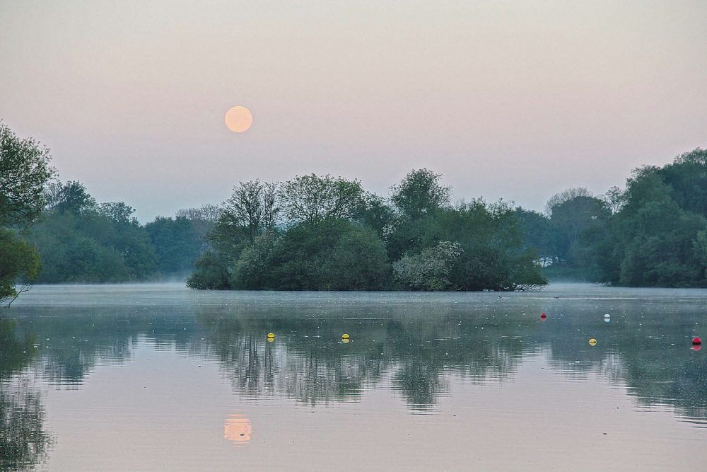 Как Влияет Погода на Карпа?
