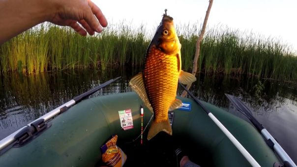 Ловля карася на поплавочную удочку
