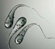 Парадокс капли принца руперта Почему капля принца руперта