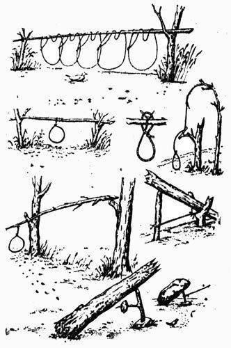 Варианты размещения силков