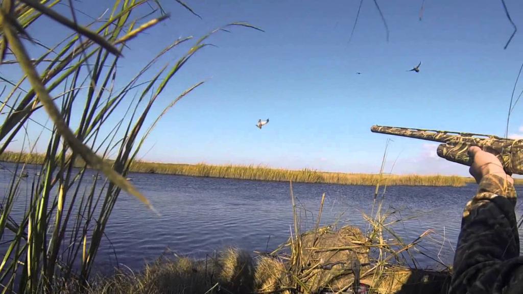 Стрельба по летающим уткам.