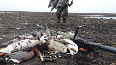 Гусиная охота