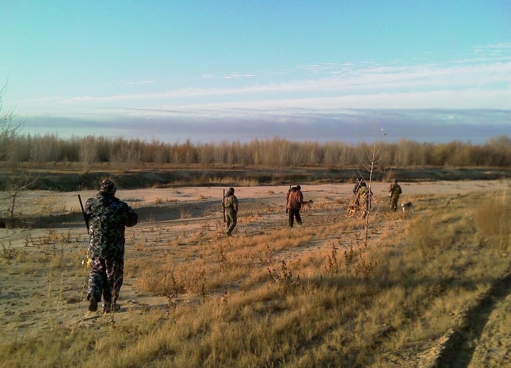 охота на косулю