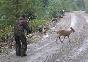 Охота на косулю