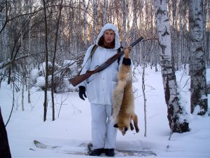 охота на лисицу зимой