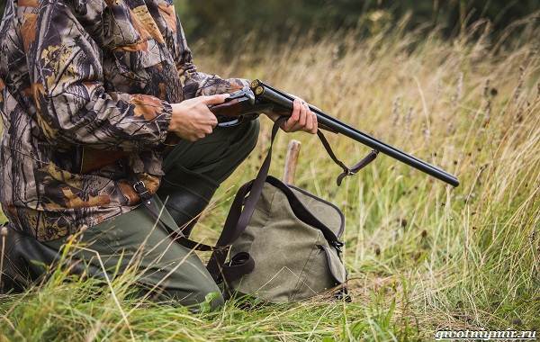 Охота-на-оленя-и-её-особенности-6