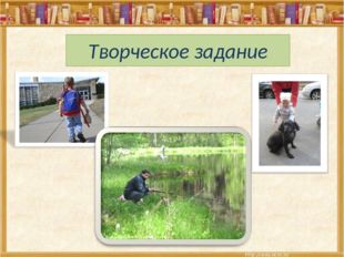 Творческое задание 
