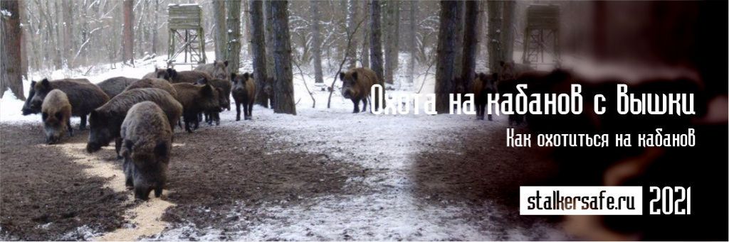 Охота на кабанов с вышки