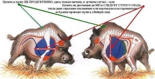 Убойные места