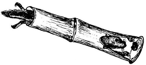 Как охотиться или добыть дичь подручными средствами