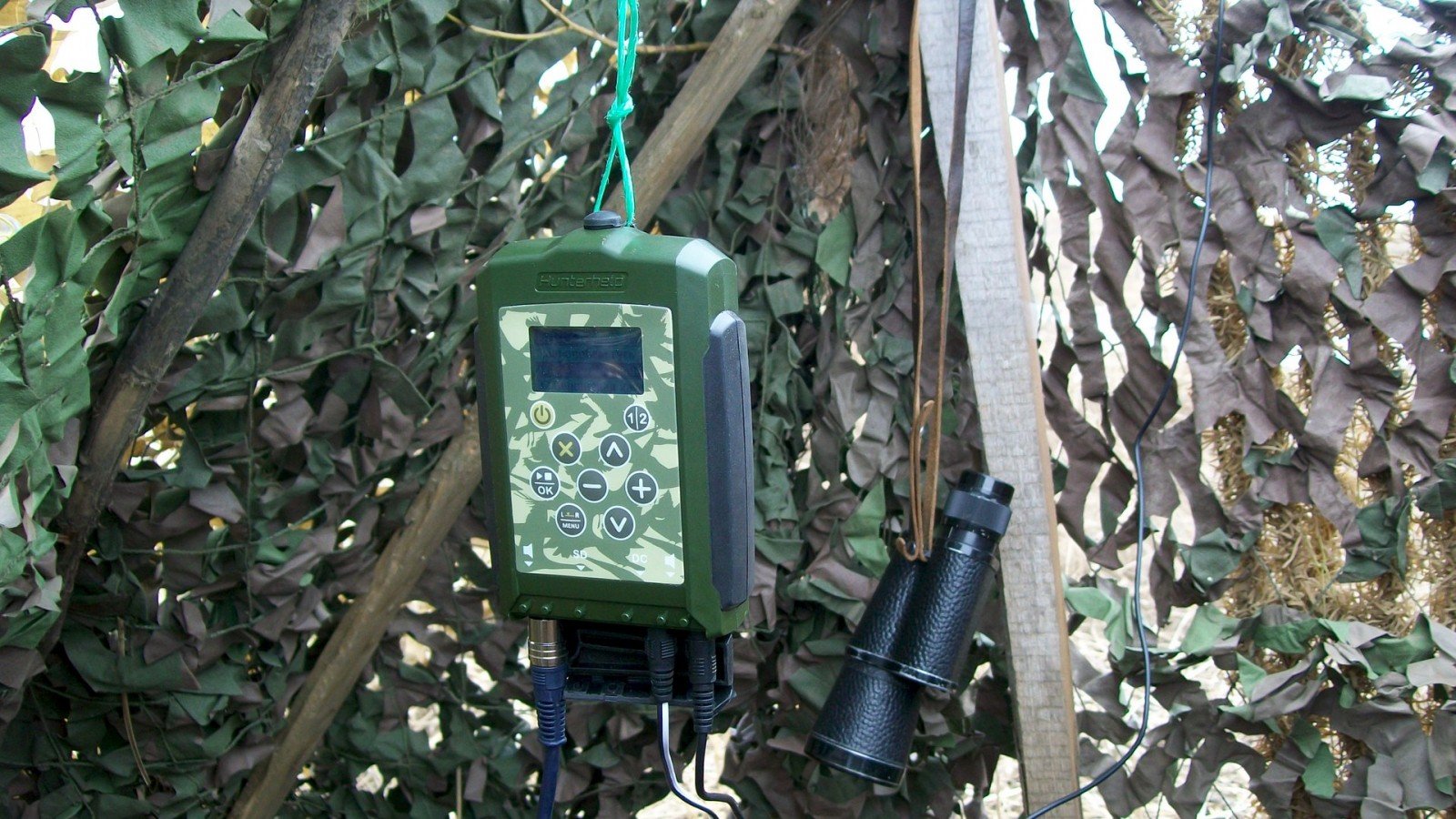 Использования манка при ловли косуль