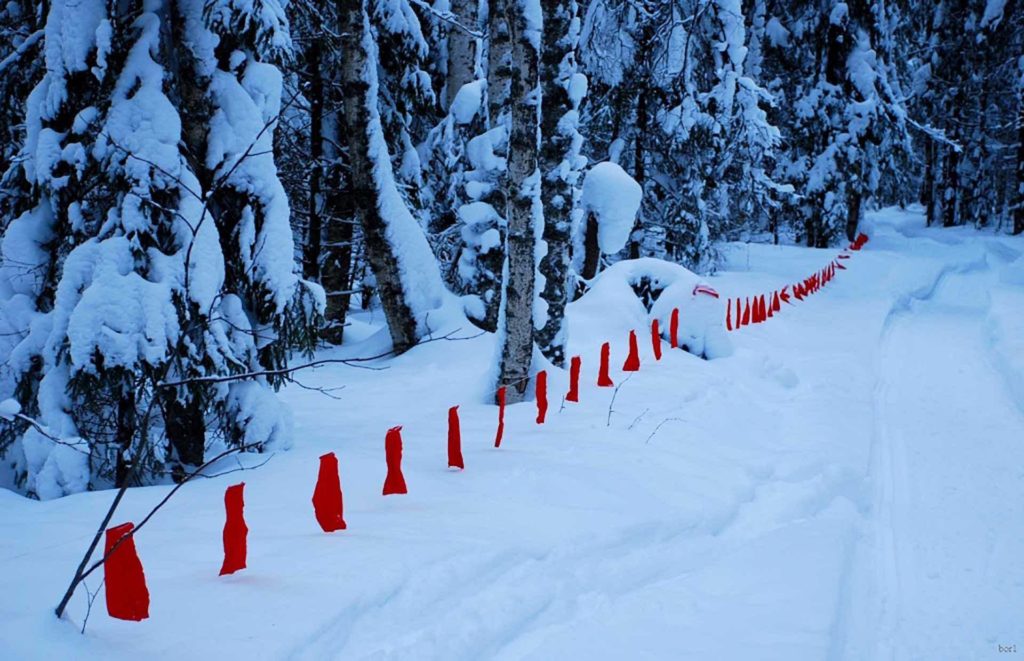 охота на волков