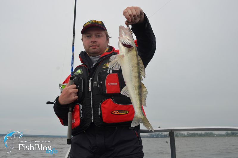 Судак на Gambler TZ