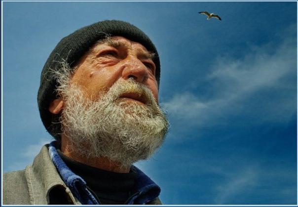 Старик и солнце