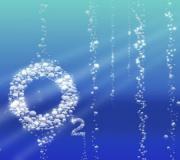 Что будет если съесть хлеб с плесенью