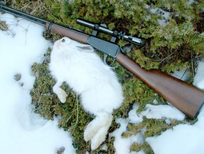 патроны 16 калибра на зайца 
