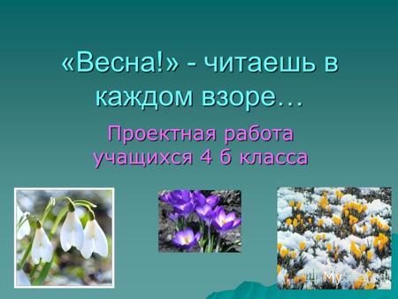 &laquo;Весна!&raquo; - читаешь в каждом взоре… Проектная работа учащихся 4 б класса.