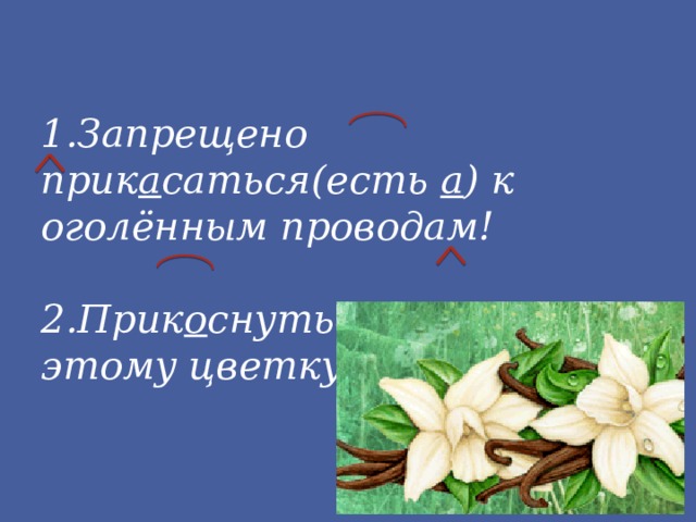 1.Запрещено прик а саться(есть а ) к оголённым проводам! 2.Прик о снуться(нет а ) к этому цветку. 
