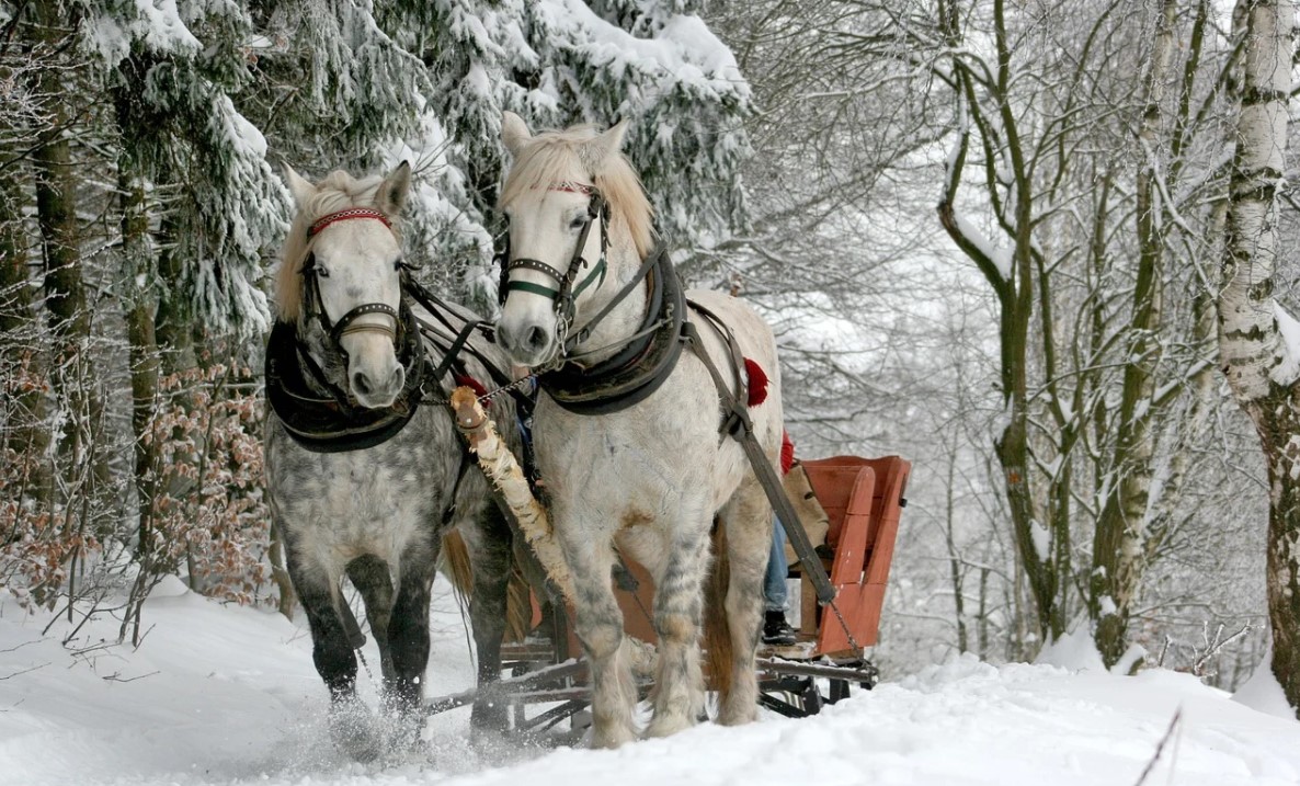 диктанты на тему зима для 4 класса