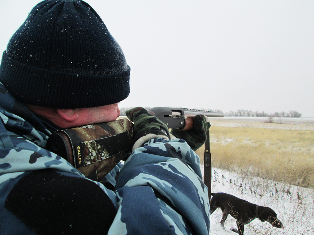 Обучение подавать птицу