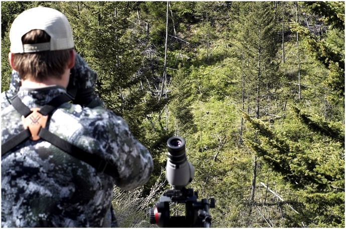 Как охотиться на медведя: обязательные советы по охоте на медведя, которые могут сделать вашу охоту успешной