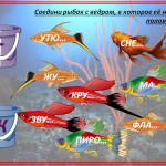 Парные согласные в корне