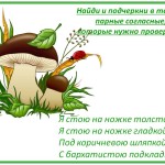 Парные согласные в корне слова