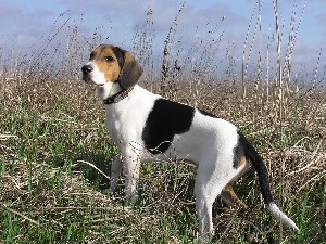 Общая информация