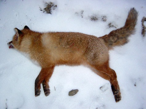 фото: Семина Михаила