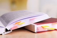 Новости образования