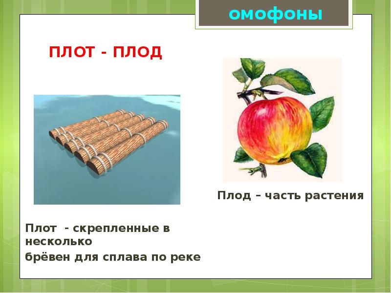 Омографы, омофоны, омонимы. Фразеологизм, слайд №3