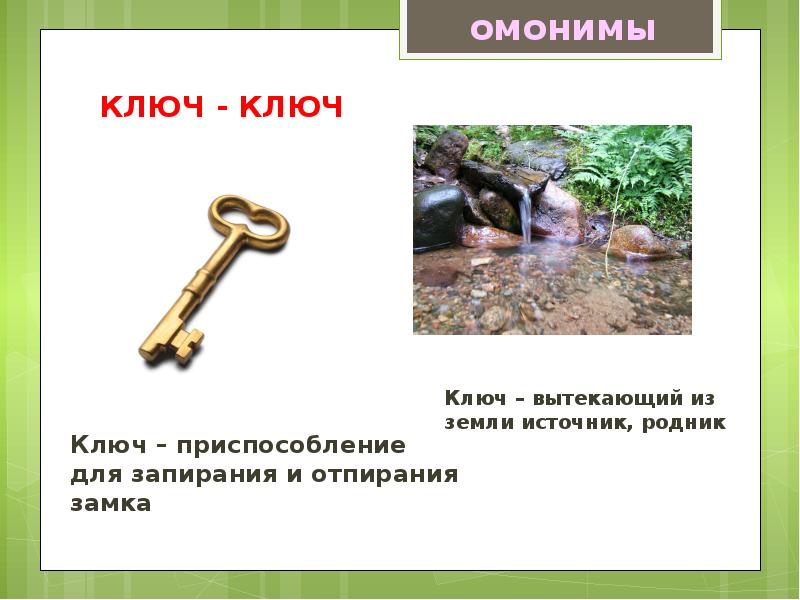 Омографы, омофоны, омонимы. Фразеологизм, слайд №5