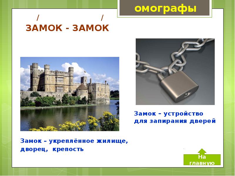 Омографы, омофоны, омонимы. Фразеологизм, слайд №2