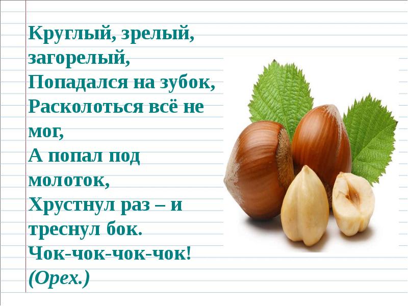 Омографы, омофоны, омонимы. Фразеологизм, слайд №15