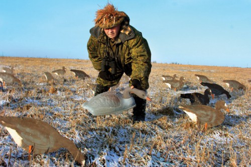 Охота на гусей весною.