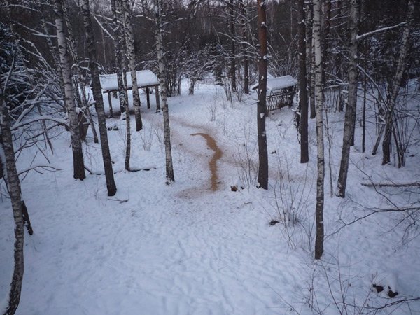 вид с вышки