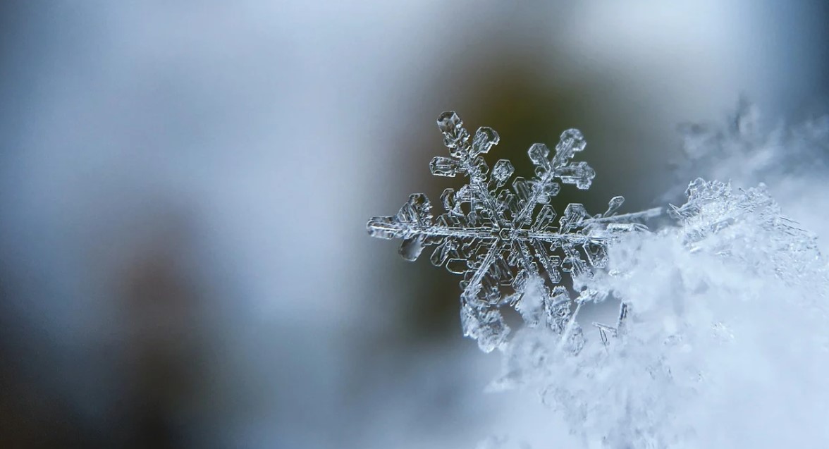 диктанты на тему зима для 6 класса