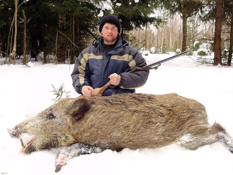 Охотничий клуб &laquo;Королевский кабан&raquo;