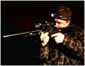 Городская охота на крыс