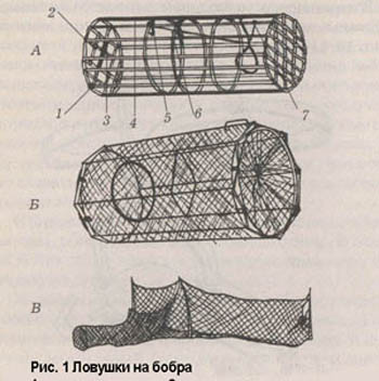 ловушка на бобра