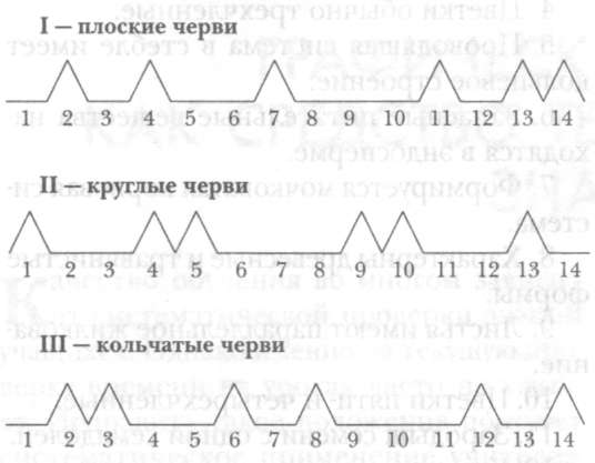 Графический диктант как средство текущей проверки знаний