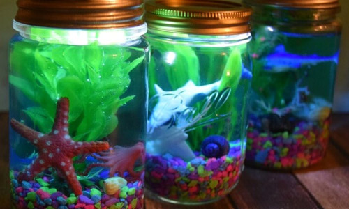 Мой первый аквариум