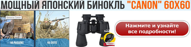 Как охотиться на кабана: с гладкоствольным оружием, видео, с подхода летом, осенью, загоном, на секача