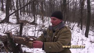 Установка капкана на куницу.(На сайте www.555hf.tv (интернет-телевидение) Вы можете посмотреть эту передачу полностью онлайн бесплатно. Смотр. 2014-02-14T05:47:22.000Z)
