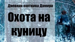 Охота на куницу с капканом(НА КАНАЛЕ НЕ ПУБЛИКУЮТСЯ СЦЕНЫ НАСИЛИЯ! Я ЗА ОХОТНИЧИЙ ЭТИКЕТ! В данном видео показан процесс установки. 2017-01-08T16:44:49.000Z)