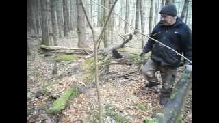 ставим капкан на куницу(нашли дуплистое поваленное дерево., 2014-11-07T21:15:55.000Z)
